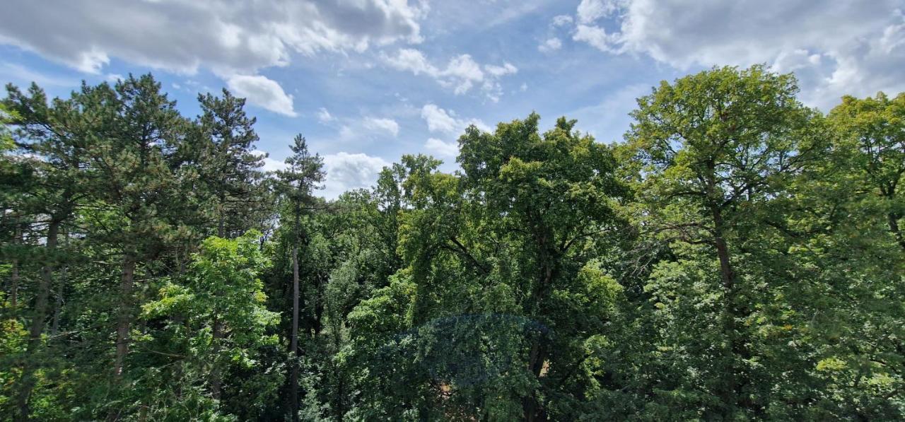 Apartment Mit Parkblick & Massagestuhl ไลป์ซิก ภายนอก รูปภาพ
